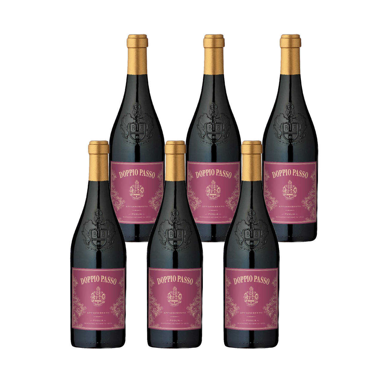 Doppio Passo Appassimento Rotwein 14,5% vol. 0,75l