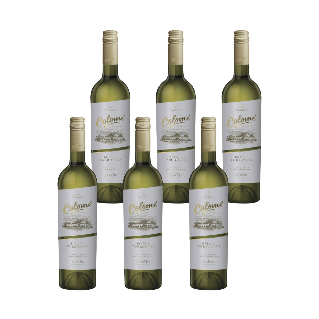 Colomé Torrontés Weißwein trocken 0,75l