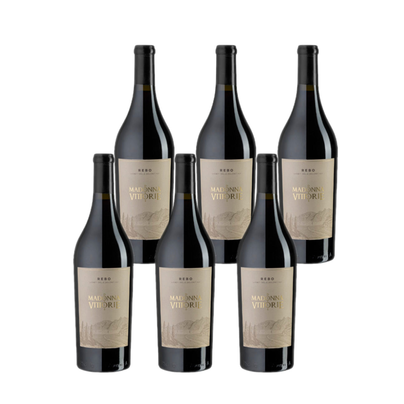 Madonna delle Vittorie REBO Rosso (Merlot, Teroldego) Trentino IGP 0,75l