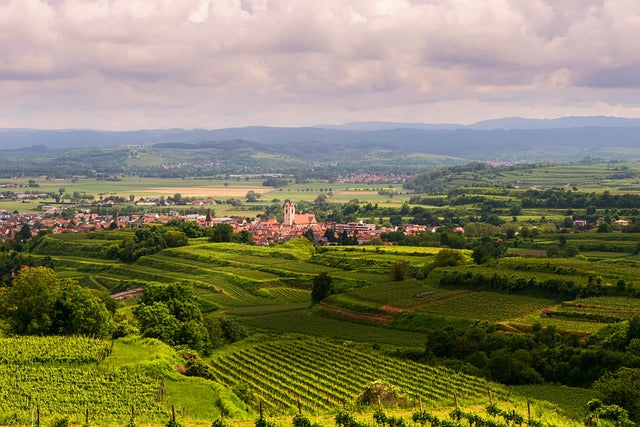 Weingut Ambs