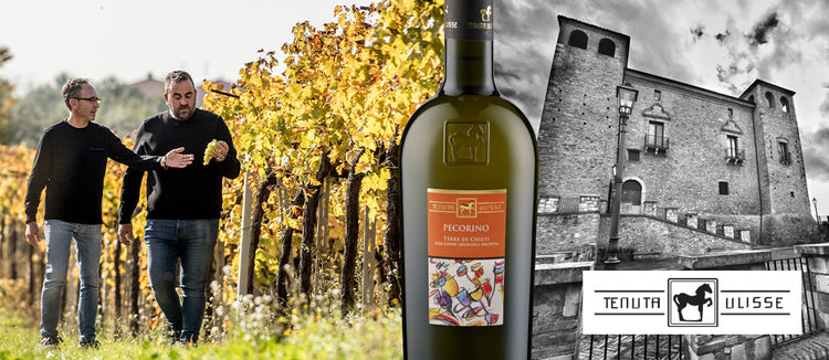Tenuta Ulisse – Weingut in den Abruzzen