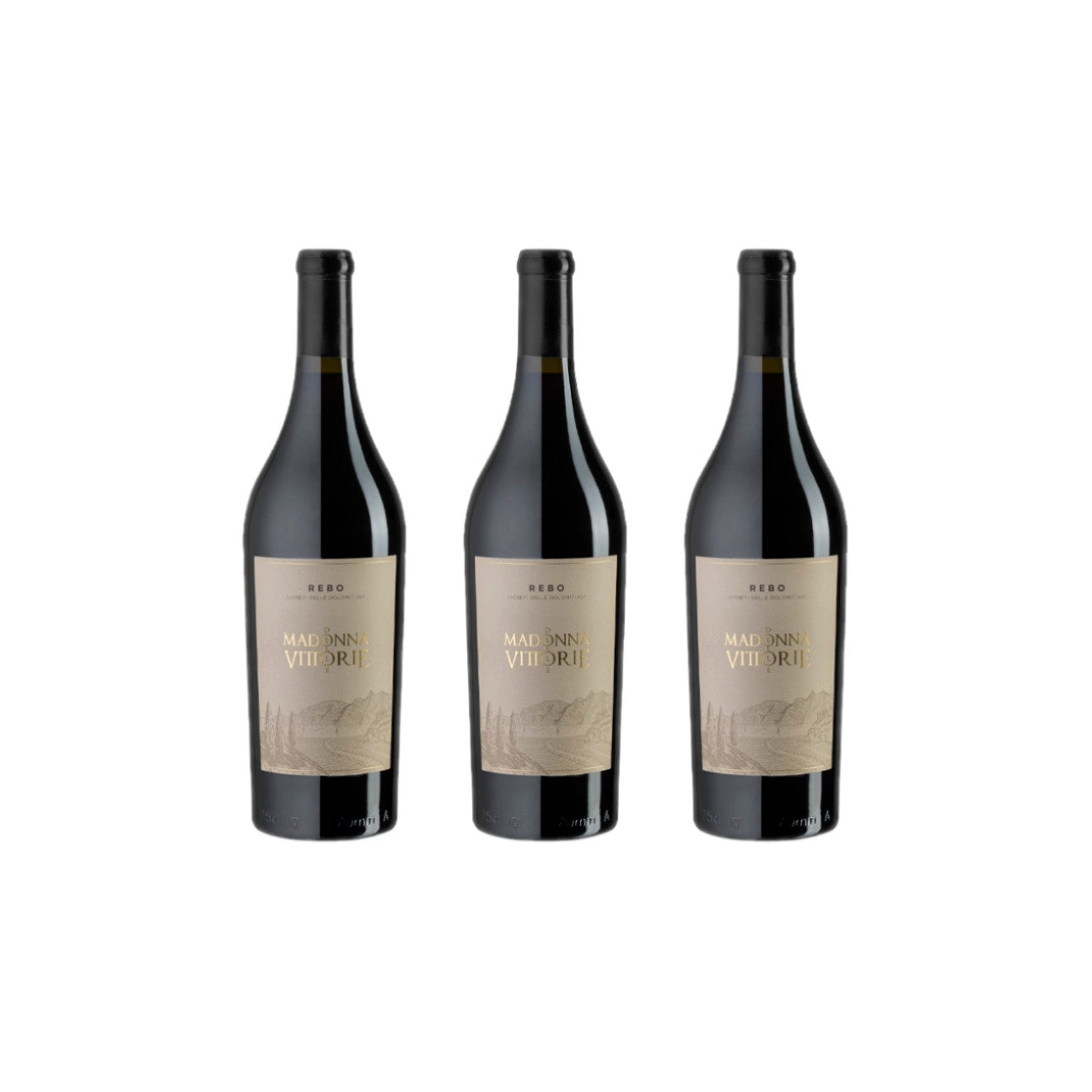 Madonna delle Vittorie REBO Rosso (Merlot, Teroldego) Trentino IGP 0,75l