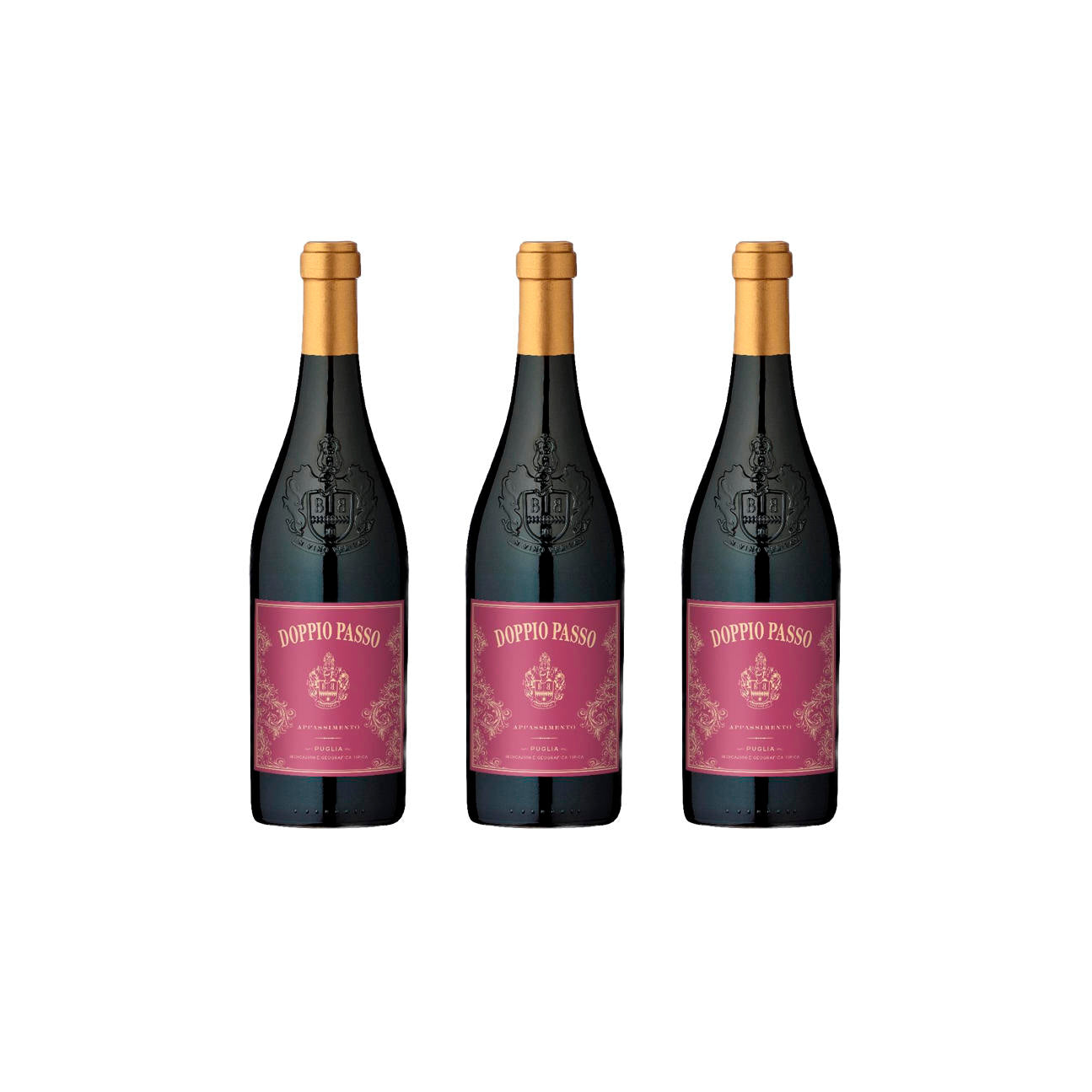Doppio Passo Appassimento Rotwein 14,5% vol. 0,75l
